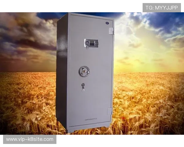 K8凯发登录入口最新安全稳定版本全面介绍与使用指南